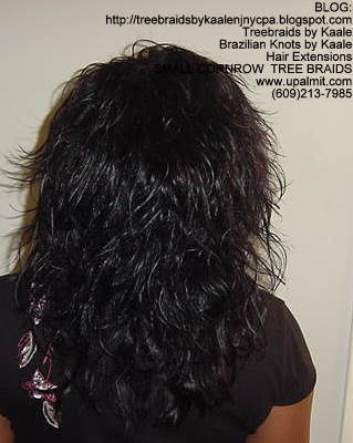 Small cornrow treebraids Top2152.