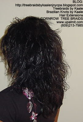 Small cornrow treebraids Left2153.