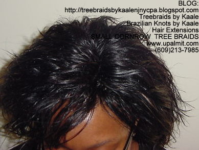 Small cornrow treebraids Top2155.