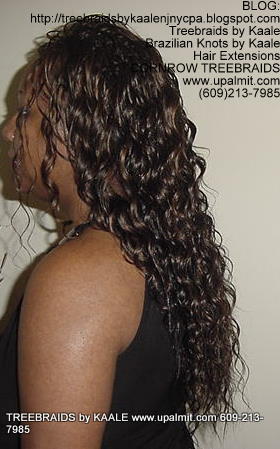 Treebraids by KAALE- Wavy, Left2181.
