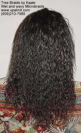 Microbraids, Back 14.