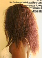 Tree Braids by Kaale- Small Cornrows Left2480.