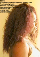 Tree Braids by Kaale- Small Cornrows Right2481.