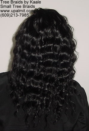 TreeBraids with invisible part.