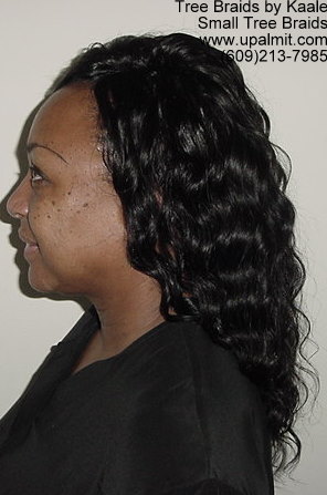 TreeBraids with invisible part.