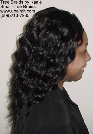 TreeBraids with invisible part.