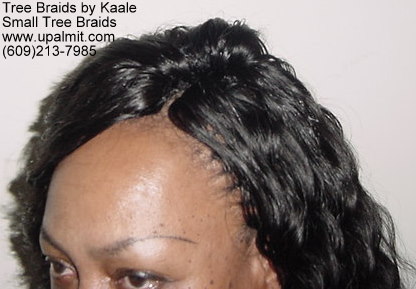 TreeBraids with invisible part.