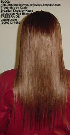 Tree Braids Straight- Back2282.