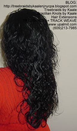 Wavy Treebraids, Left222.