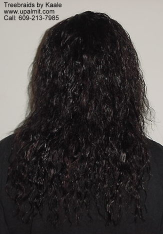 Mediumsmall Summer Tree Braids.