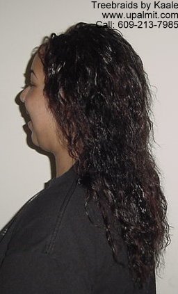 Mediumsmall Summer Tree Braids.