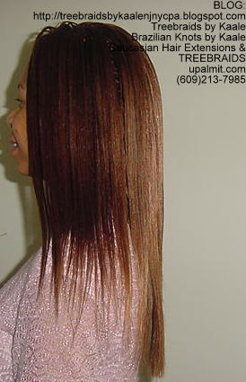 Tree Braids- Straight Left2235.