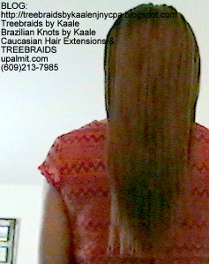 Tree Braids Straight- Back2270.