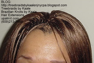 Tree Braids- Top.