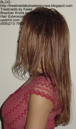 Tree Braids- Left13.