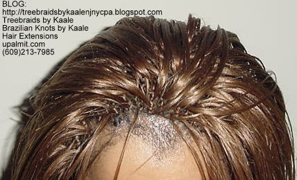 Tree Braids- Top12.