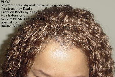 Deep Bulk Wavy human hair Treebraids Top2159.