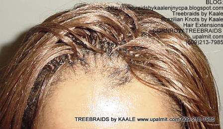 Treebraids by KAALE- Straight, Top2175.