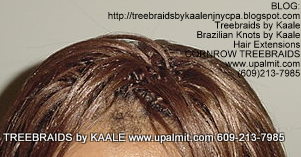 Treebraids by KAALE- Straight, Top2 2179.