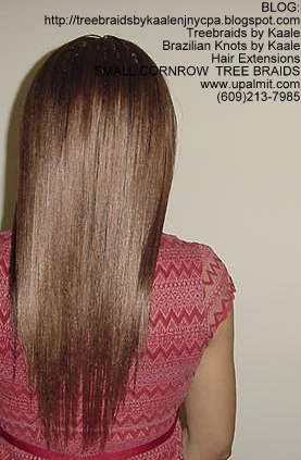 Small cornrow treebraids- straight Back2156.