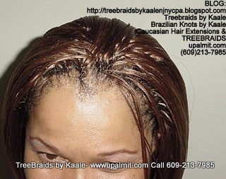 Treebraids- Small size, with straight hair Left2161.
