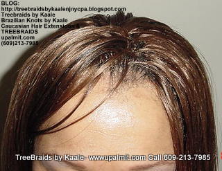 Tree Braids- Straight- with bang Top2238.