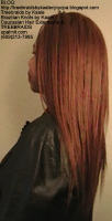 Tree Braids- Cornrows with straight human hair, Left2406.