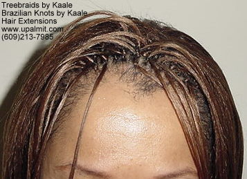 Straight cornrow treebraids, Top110.