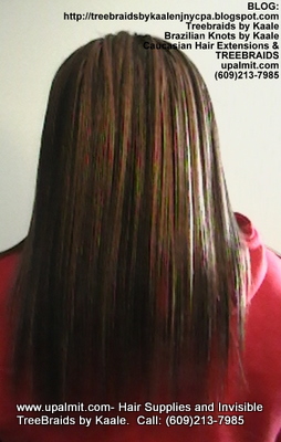 Tree Braids- Cornrows with straight human hair Back2308.
