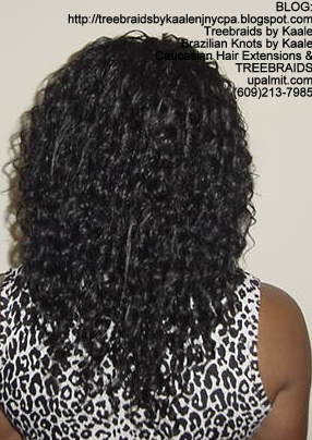 Tree Braids- Individuals with Deep Bulk human hair Back2288.