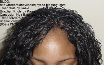 Tree Braids- Individuals with Deep Bulk human hair Top2242.