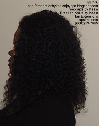 Individual Tree Braids- L2.