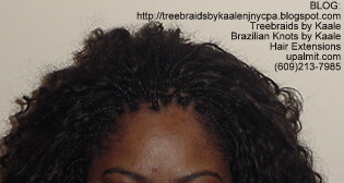 Individual Tree Braids- Top2.