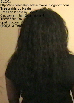 Tree Braids- Individuals with Deep Bulk human hair Back2292.