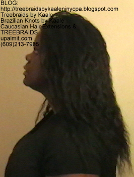 Tree Braids- Individuals with Deep Bulk human hair Left2293.