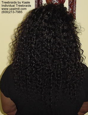 Wavy  individual treebraids, Back108.