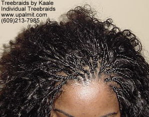 Wavy  individual treebraids, Top108.