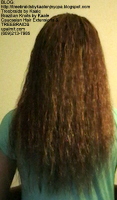 Tree Braids by Kaale- Wet n Wavy Back2459.