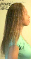 Tree Braids by Kaale- Wet n Wavy Right2461.