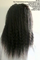 Tree Braids by Kaale- Wet n Wavy Back2463.