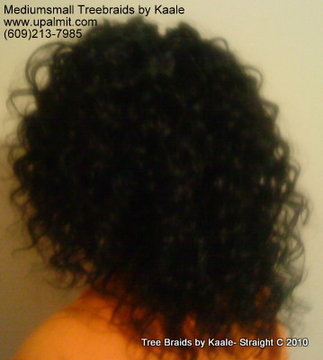 Curly Tree Braids- Mediumsmall, Back 4.