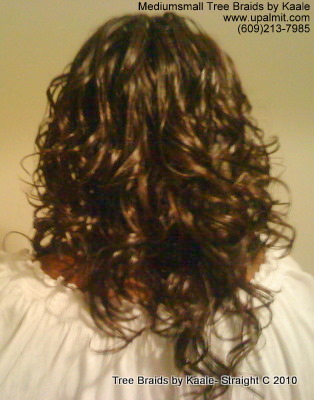 Curly Tree Braids- Mediumsmall Back 200.