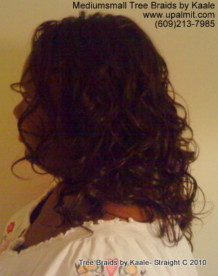 Curly Tree Braids- Mediumsmall, Left 200.