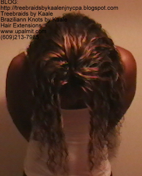 Wavy Tree Braids- Mediumsmall, Up.