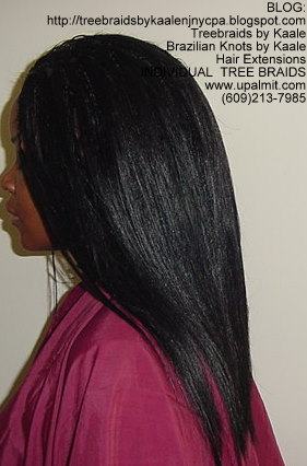 Small Individual Treebraids Left2149.