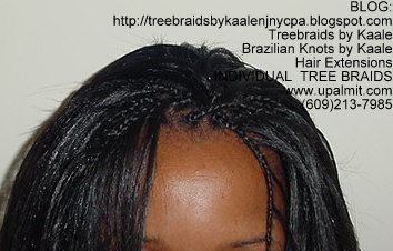 Small Individual Treebraids Top2151.