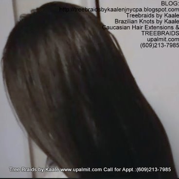 Tree Braids Individuals, straight- Left2287.