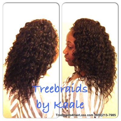 Treebraids 1.