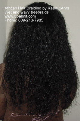 Treebraids ponytail with invisible part- back view.