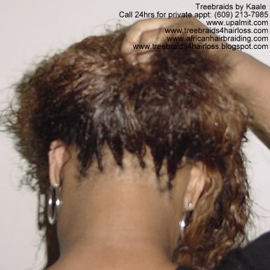 Wet and wavy treebraids- back lifted up, in NJ.